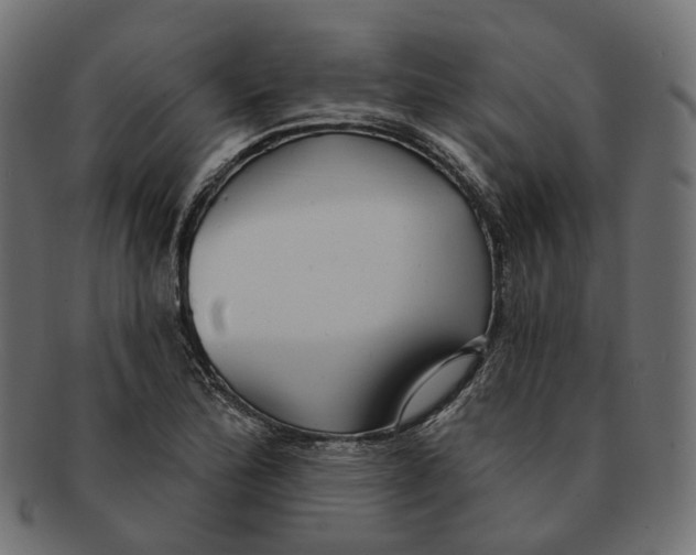 X0000091731172200709211014