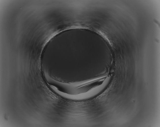 X0000091731173200709211014