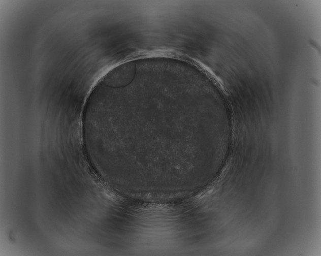 X0000091731174200709211014