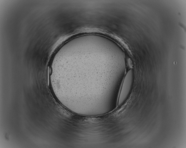 X0000091731175200709211014