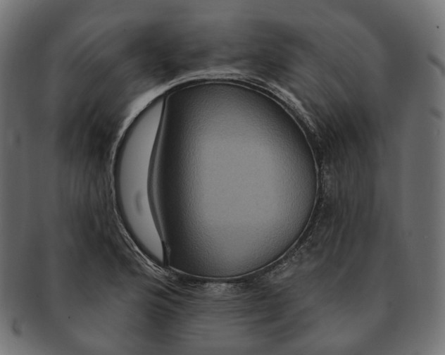 X0000091731176200709211014