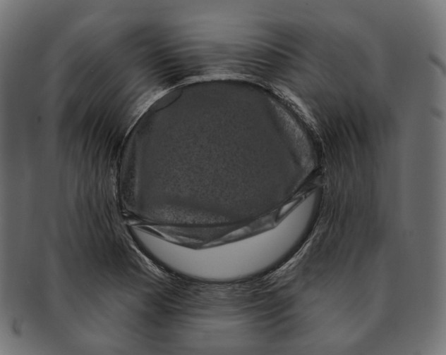 X0000091731177200709211014