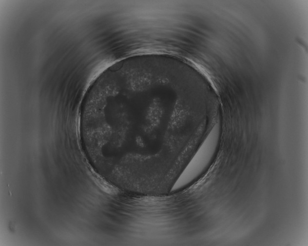 X0000091731179200709211014