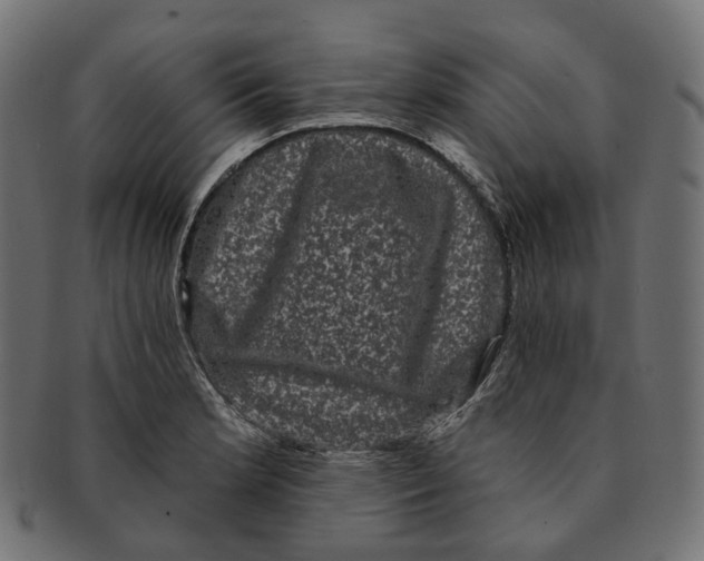 X0000091731181200709211014