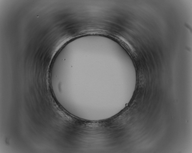 X0000091731182200709211014