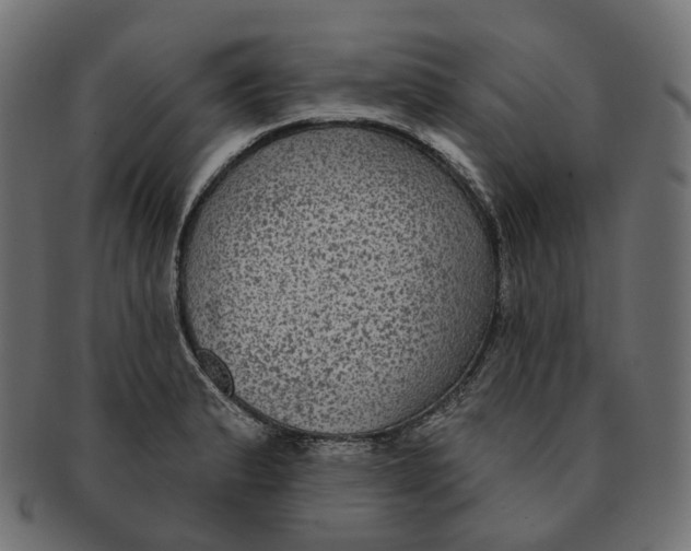 X0000091731183200709211014