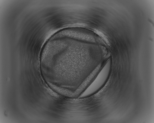 X0000091731184200709211014