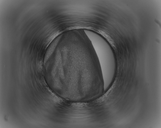 X0000091731185200709211014