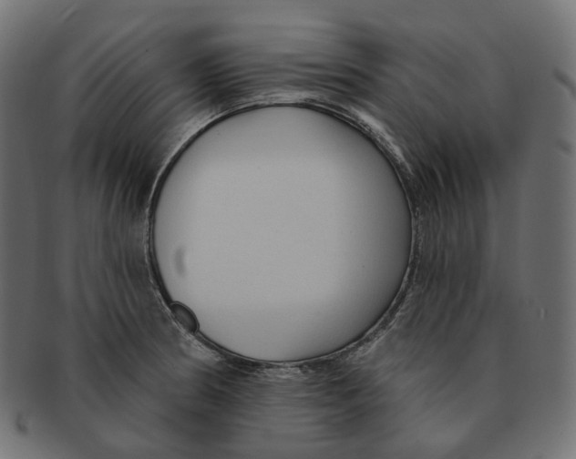 X0000091731186200709211014