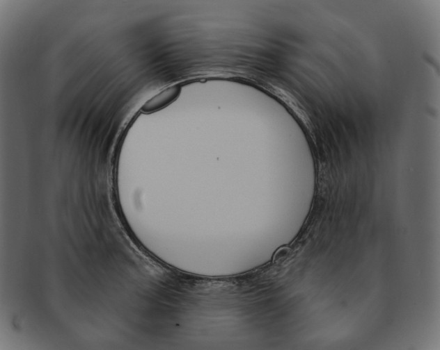 X0000091731187200709211014