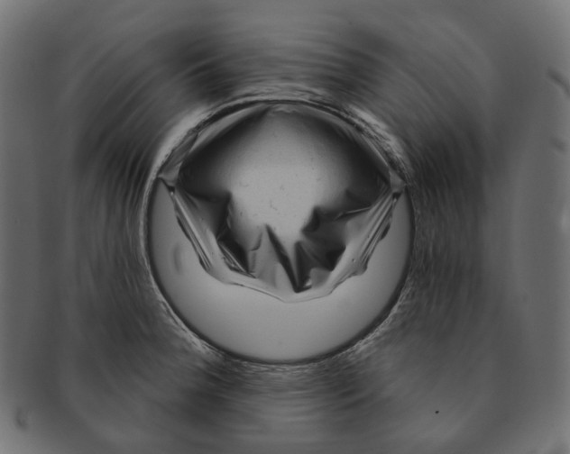 X0000091731188200709211014