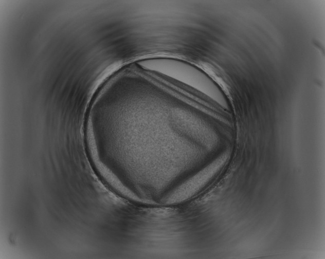 X0000091731189200709211014