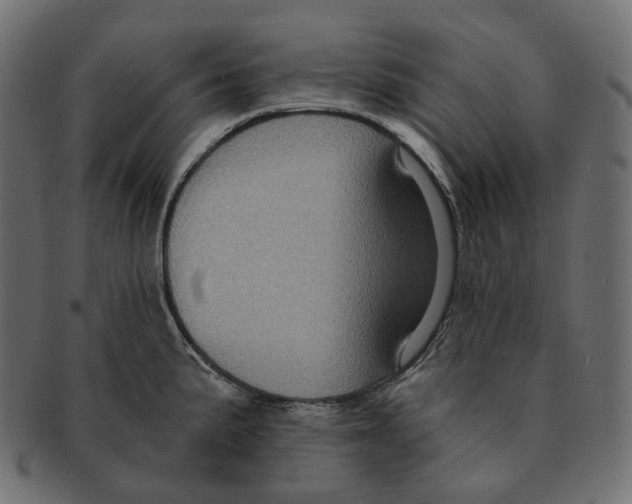 X0000091731191200709211014