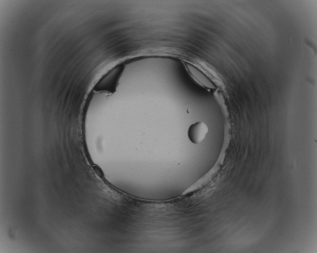 X0000091731192200709211014