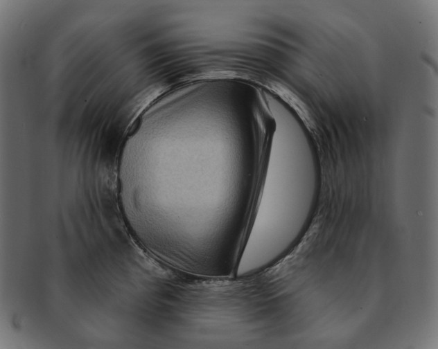 X0000091731193200709211014