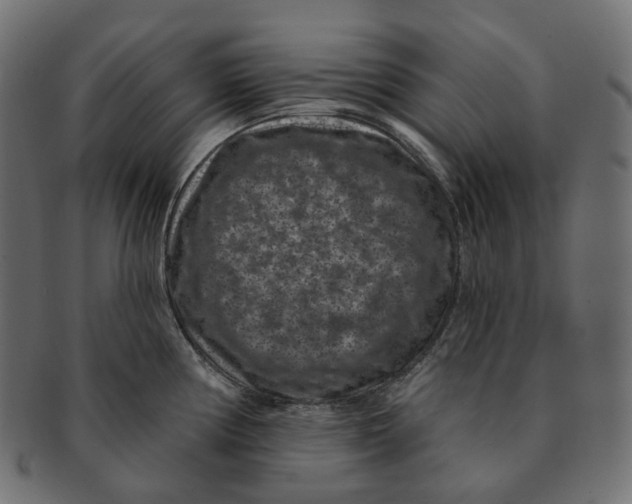 X0000091731194200709211014