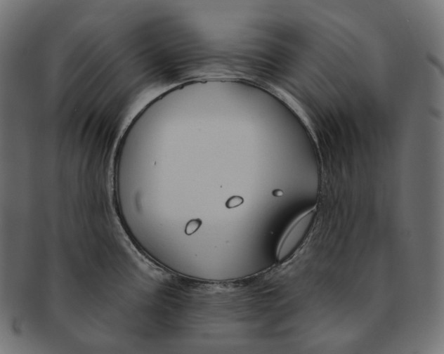 X0000091731195200709211014