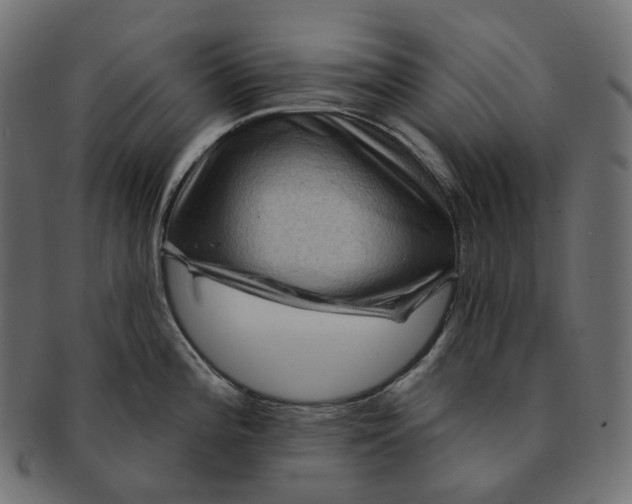 X0000091731196200709211014