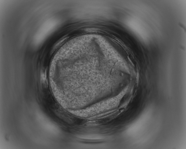 X0000091731198200709211014