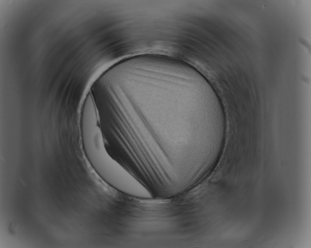 X0000091731200200709211014