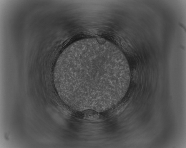 X0000091731201200709211013