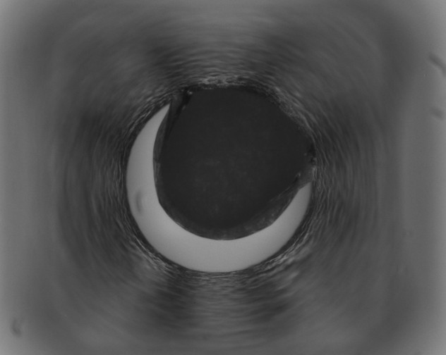 X0000091731202200709211013