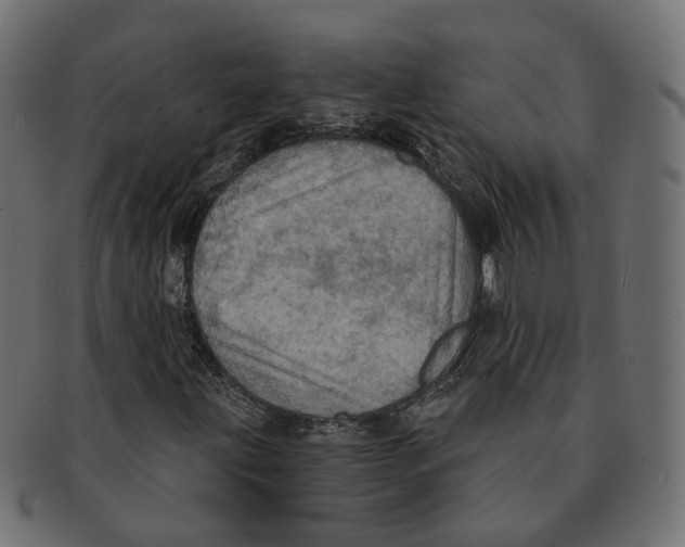 X0000091731203200709211013