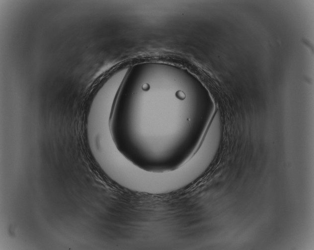 X0000091731206200709211013