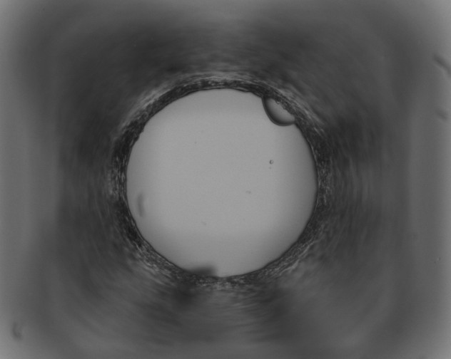 X0000091731207200709211013