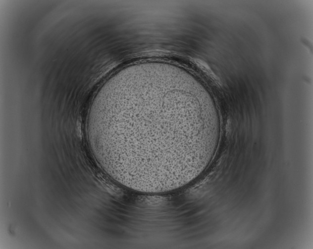 X0000091731209200709211013