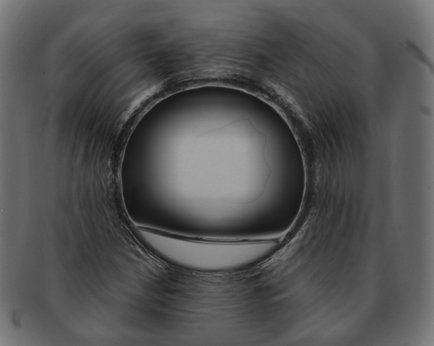 X0000091731210200709211013