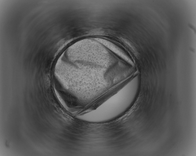 X0000091731212200709211013