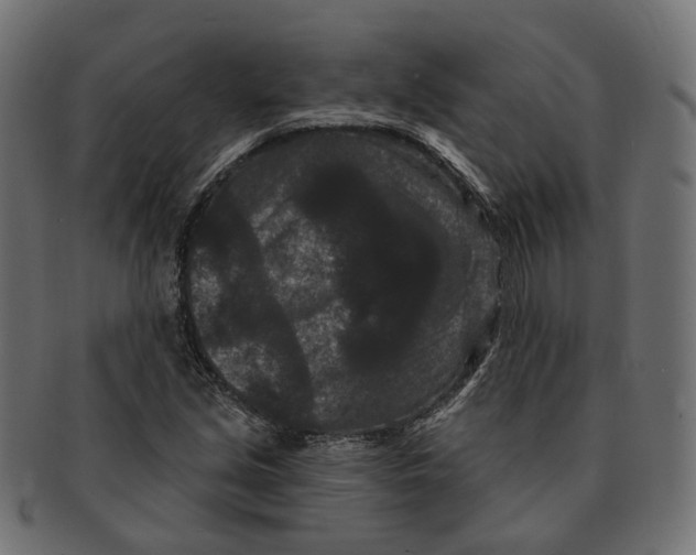 X0000091731213200709211014