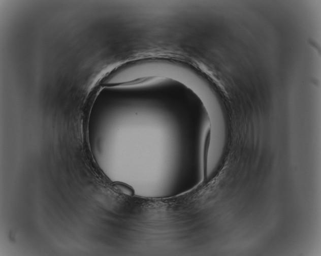 X0000091731214200709211014