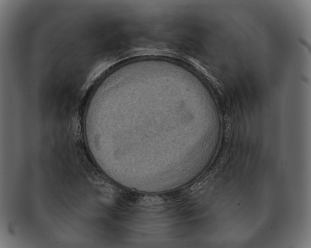 X0000091731215200709211014