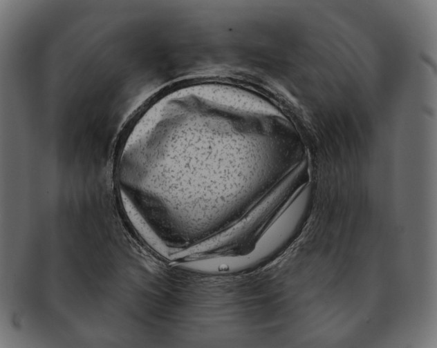 X0000091731216200709211014