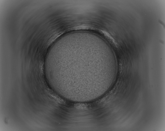 X0000091731217200709211014