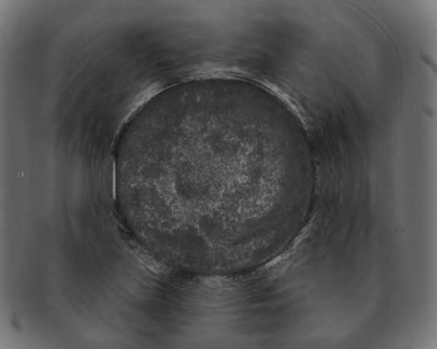 X0000091731219200709211014