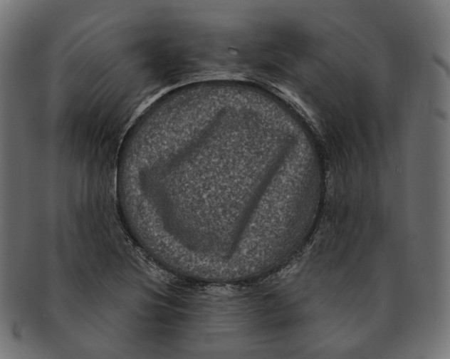 X0000091731220200709211014