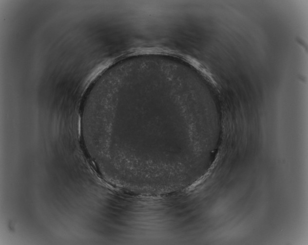 X0000091731221200709211014