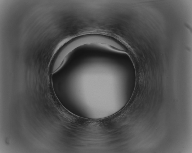 X0000091731222200709211014