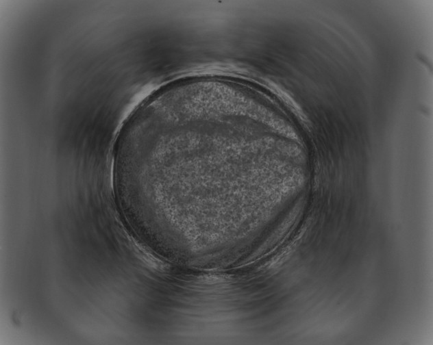 X0000091731224200709211014