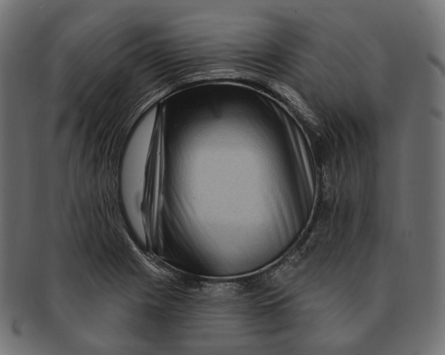 X0000091731225200709211014