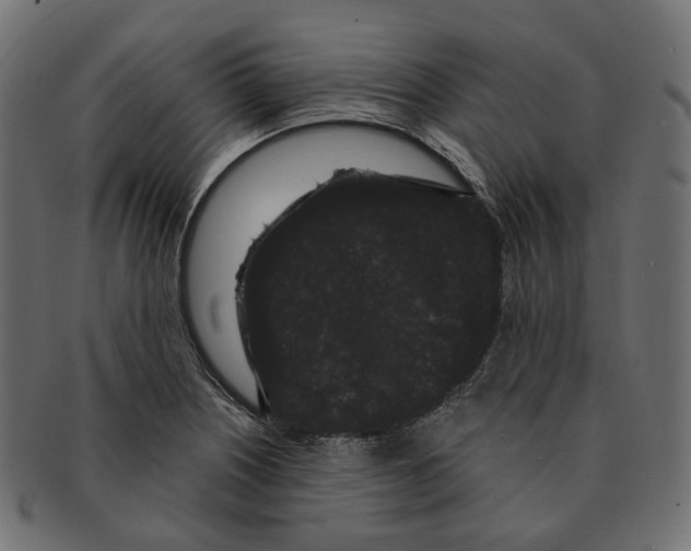 X0000091731226200709211014