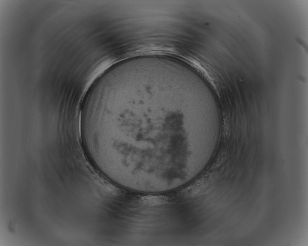 X0000091731227200709211014