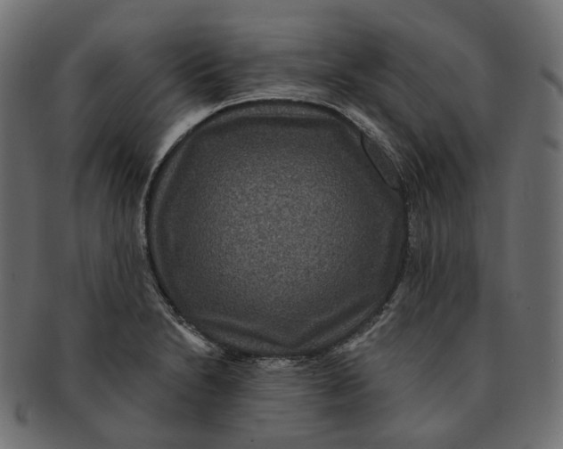 X0000091731230200709211014