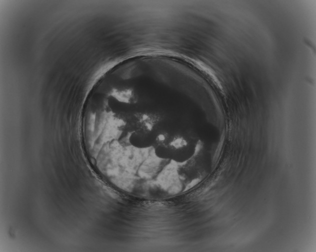 X0000091731231200709211014