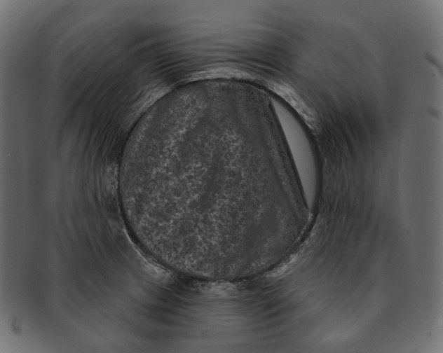 X0000091731233200709211014