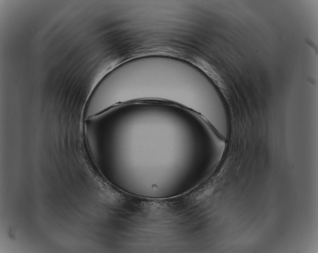 X0000091731234200709211014