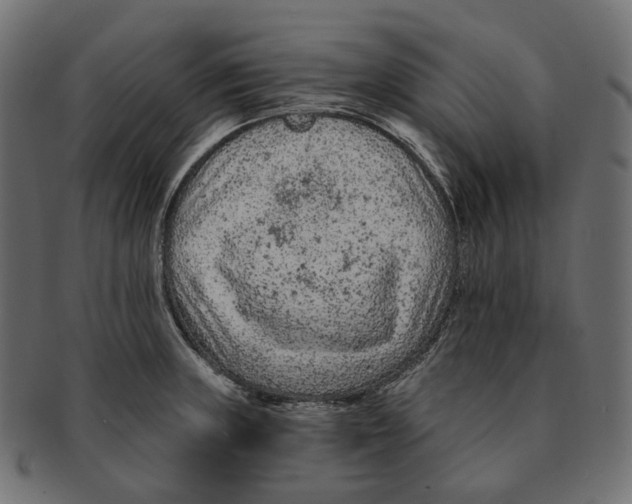 X0000091731235200709211014